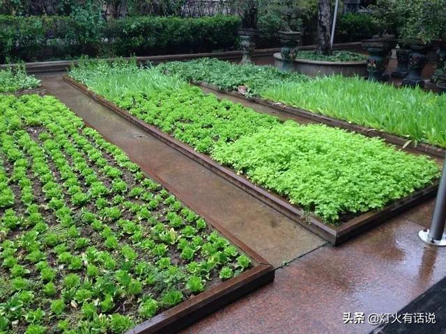 家住别墅是什么样的感觉？插图75