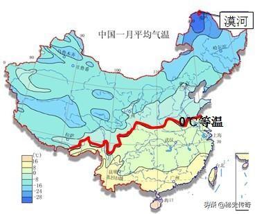 四川是不是出现了龙，罕见雪貂现身四川成都！受伤后求助人类，为何说这并不是好事