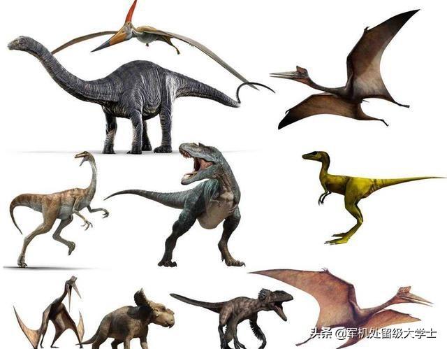 恐龙的资料大全，恐龙有多少种，那个时候有人吗，谁能打得过恐龙