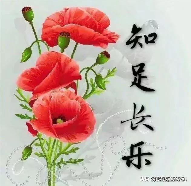 平安,快乐就好,平平淡淡生活,顺其自然,知足常乐,开心快乐过好每一天