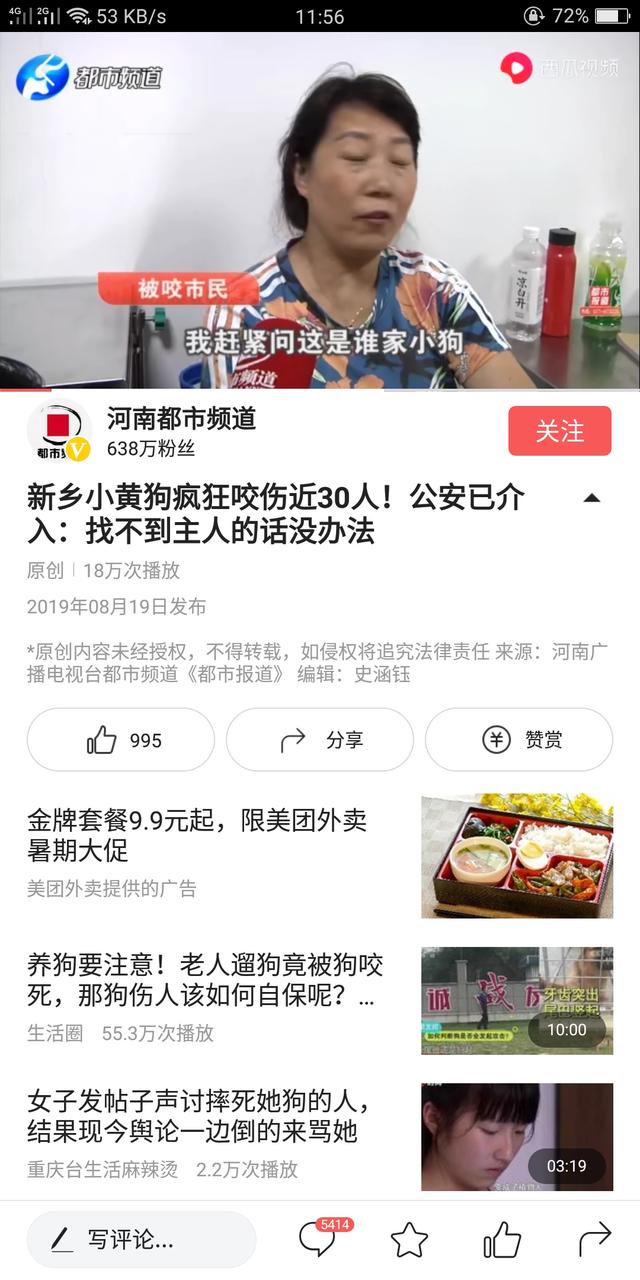 小姐与流浪狗44:在城市遛狗，你看到多少人清理过狗屎和狗尿？如何评价这种现象？ 小姐与流浪狗4