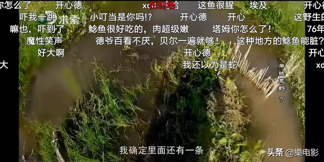 CCTV考古纪录片 赵王，你觉得B站上有哪些值得一看的纪录片