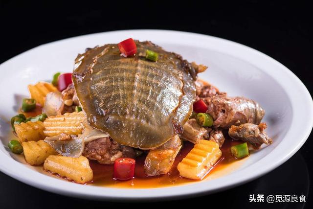 中华花龟的药用价值:龟肉有什么营养价值？什么人最好不要吃龟肉？ 中华花龟的营养价值
