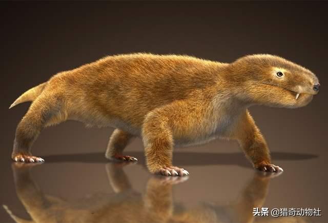 精选优质答案:从表面上看,现存的动物体型确实比远古时期的某些锥