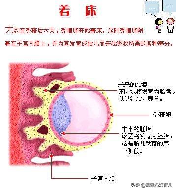 头条问答 我怀孕从来没有着床出血的现象正常吗 豌豆妈妈育儿的回答 0赞