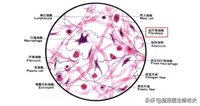 怎么消除痘坑(痘坑要怎么去除)