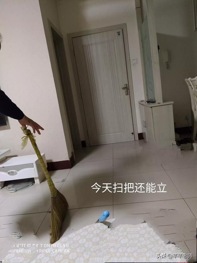 扫把立起来nasa:《穿井得一人》告诉我们什么道理
