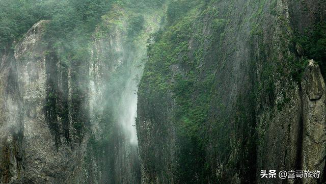 温州鹿城七彩神仙鱼价格:五一快到了，温州有哪些好玩的地方推荐？
