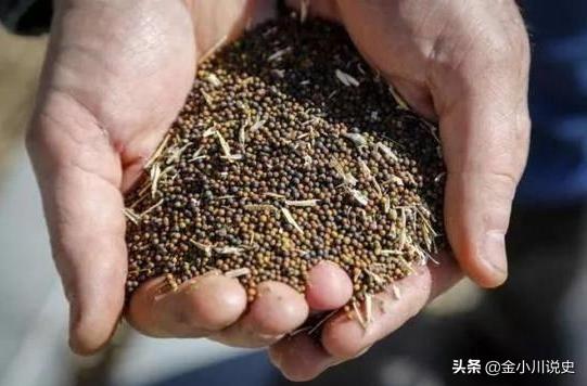 孟晚舟事件起因:为什么加拿大现在才公布病毒来源？