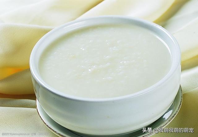 小狗牙龈炎怎么办:宠物狗的嘴里发炎怎么办？
