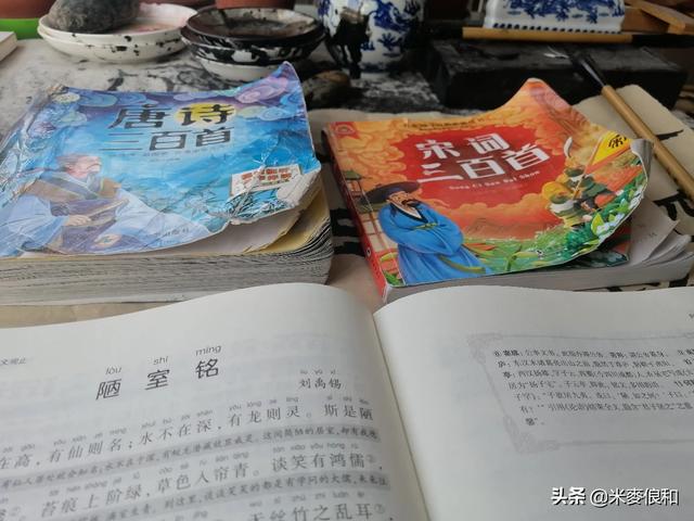 买了一本《唐诗三百首》,读这个有什么用？意义何在？