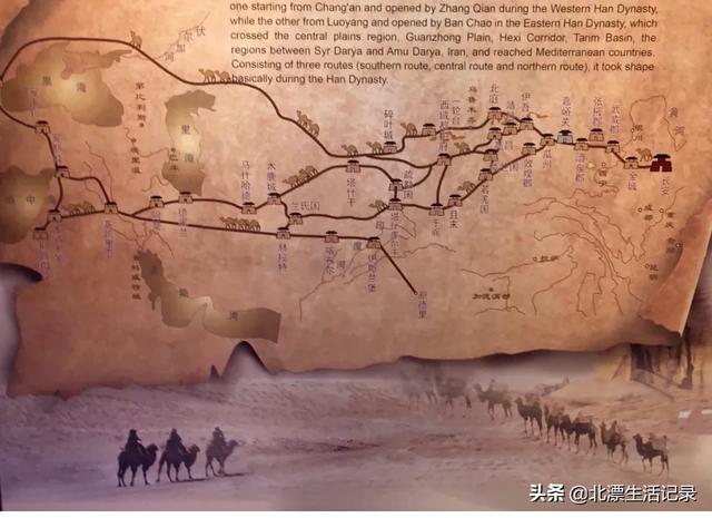 什么是华侨？
