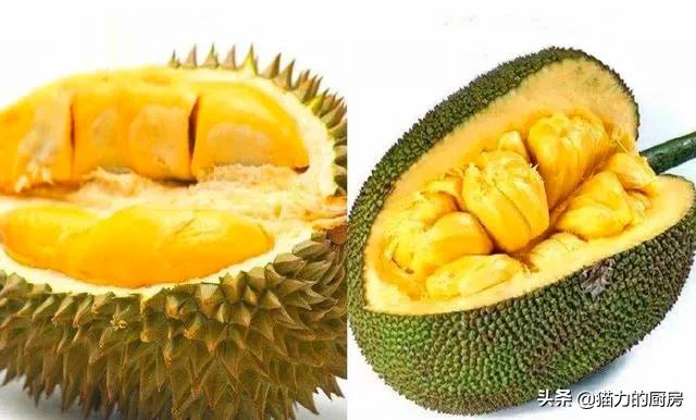 榴莲金菠萝图片:菠萝蜜和榴莲有什么区别？如何区分？
