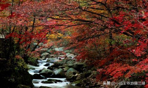 9月适合旅游的地方,九月份适合去哪旅游便宜实惠？