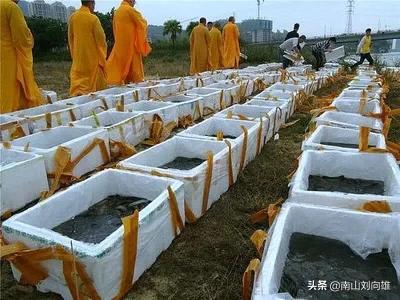 买小龙虾放生:佛教、道教、儒家和普通人分别怎么看待“买鱼放生”这种行为