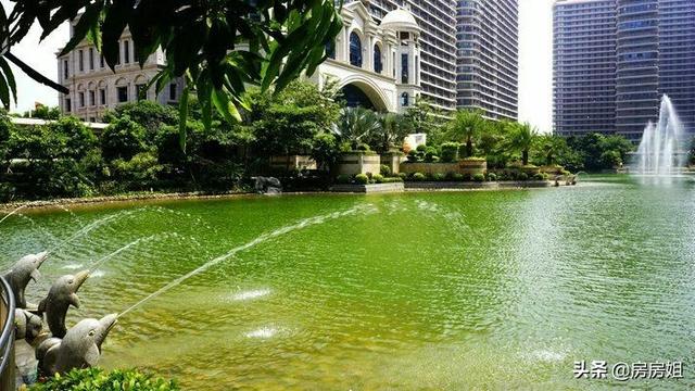 买电梯房6楼后悔死了,6层洋房带电梯，顶楼边户，能买吗？