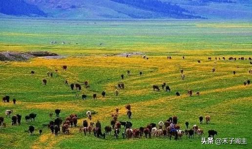 新疆旅游注意事项，去乌鲁木齐时，需要注意哪些问题