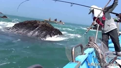 半米长的海鱼都有哪些图片:海钓鲈鱼什么时候最好？为何？