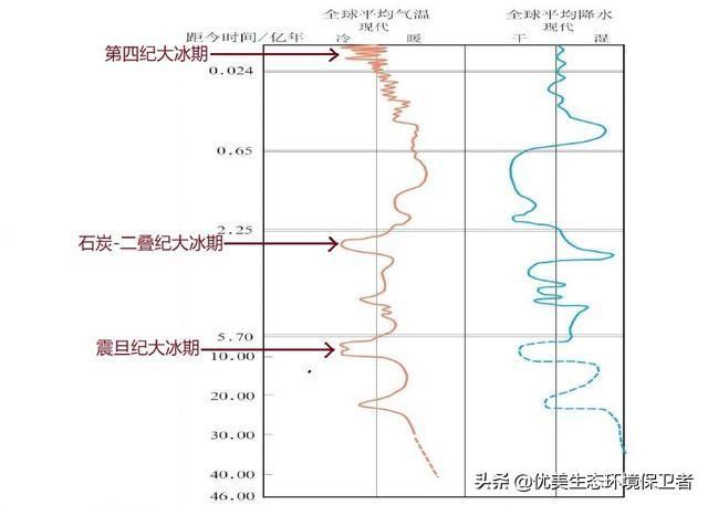 新疆百灵鸟论坛:摄影圈中的老法师是什么？ 新疆棉花质量好