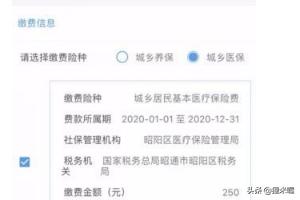 云南省税务局社保缴费：云南省税务局社保缴费为什么交不了