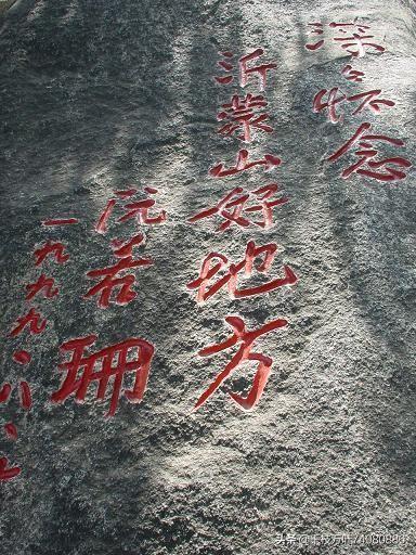 王音璇:有几个看过《苦菜花》的？