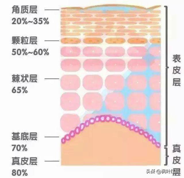 水解胶原纤脸面膜胶(水解胶原精华面膜)