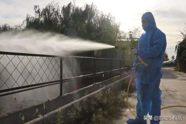 小反刍兽疫:羊感染小反刍疫，才好了几天还会反复感染吗？ 小反刍兽疫的临床症状