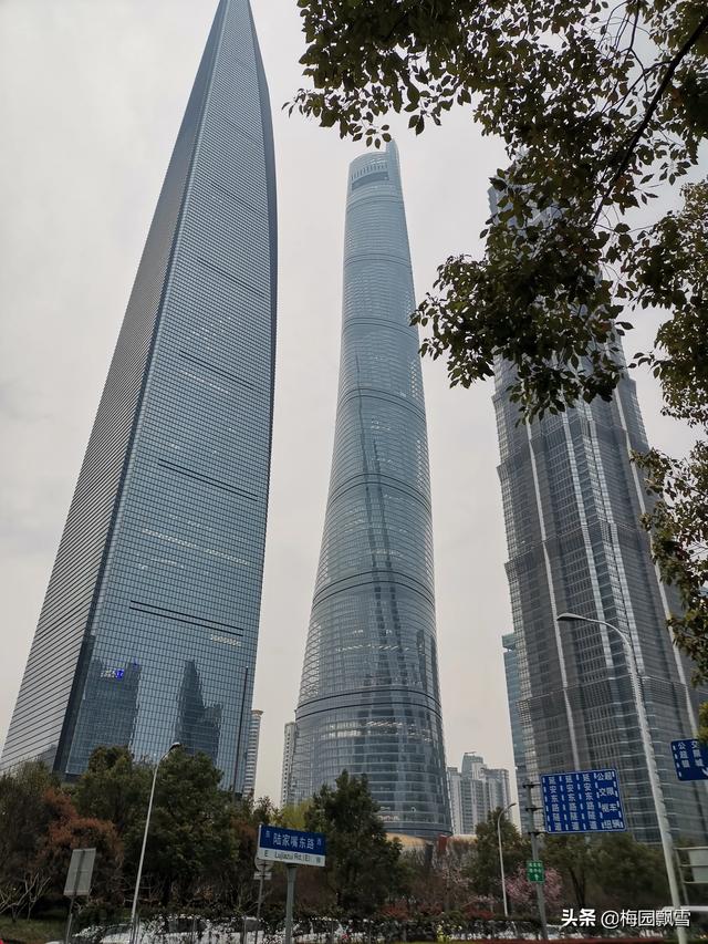上海城市大吗，上海是不是中国最大的城市