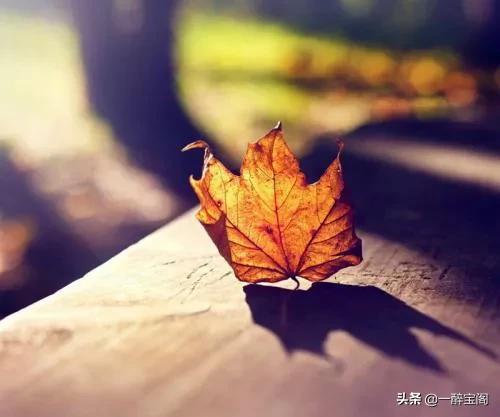 吕丽萍婚姻:多次离婚后的人，是会更珍惜婚姻还是对婚姻更随意