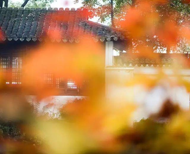你听说过或者看过最恐怖的<a href=https://maguai.com/list/34-0-0.html target=_blank class=infotextkey><a href=https://maguai.com/list/34-0-0.html target=_blank class=infotextkey>小说</a></a>或者故事能分享一下吗