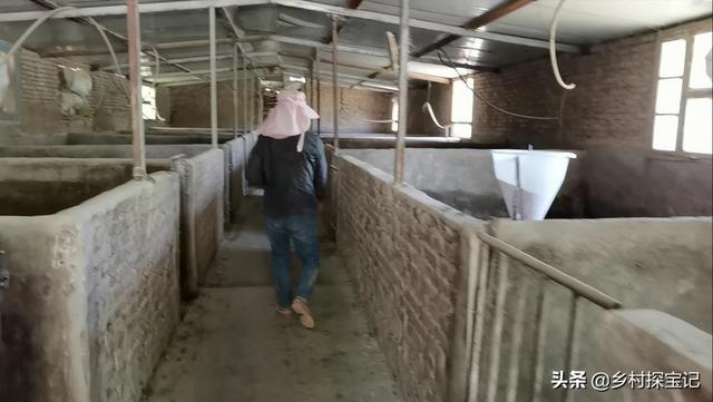 唐山小香猪养殖场:是什么原因让你进入养殖业的？
