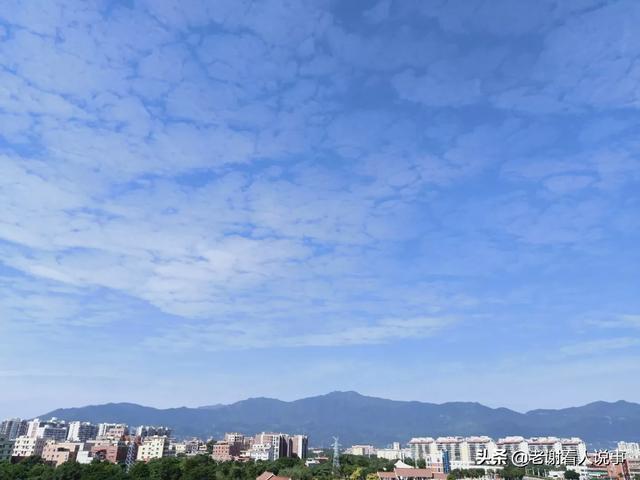 多地出台养犬规定引热议:关于全国各大城市相继出台的文明养犬的规定是否合法？是否有效？ 多地出台养犬规