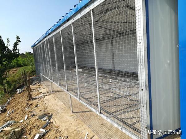 散养鸡舍:农家散养土鸡比养鸡场的商品鸡贵几倍，是否物有所值？