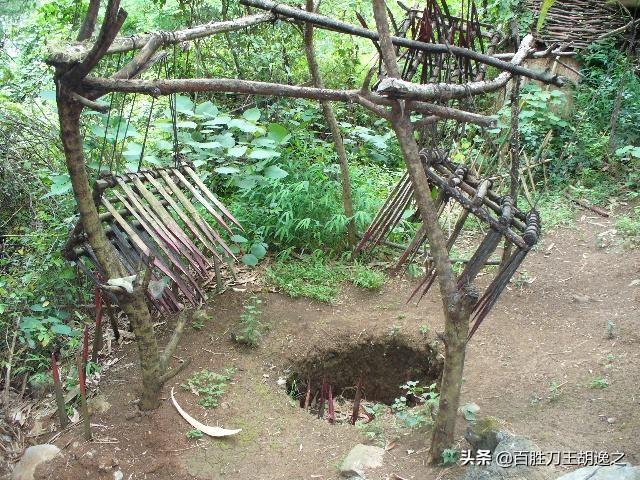 猎犬打猎电影:如何评价丹麦电影《狩猎》？