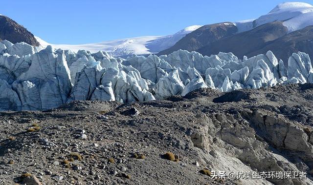 南极雪地灵异事件:南极出现“西瓜雪”。全球气候变暖有多可怕？