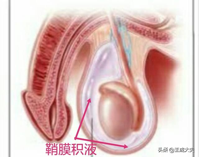 童尿蛋:童子尿煮鸡蛋真的有营养吗