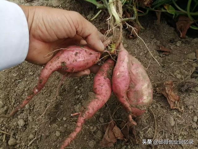 有的人感觉创业很艰难,我们怎样才能创业呢？