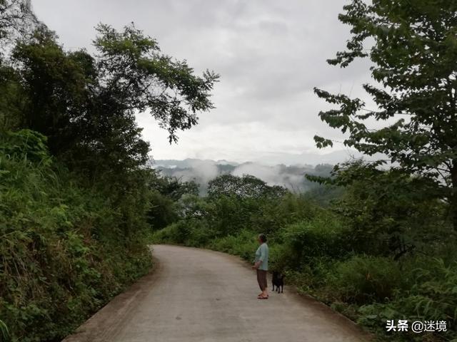 请问大家有没有对自己父母恨得一眼都不想见的？