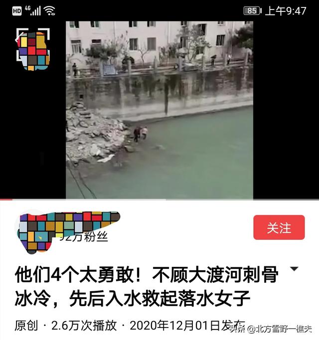 消防员救狗跳粪坑评论:如何看待洛阳消防队救一只猫？