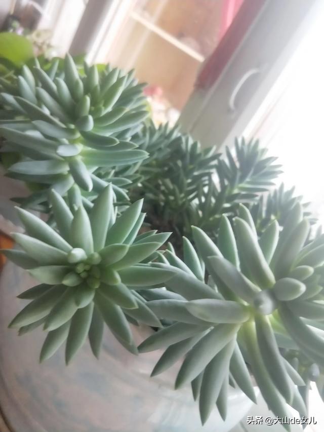 副业干点啥,你做过比较靠谱的副业是什么？