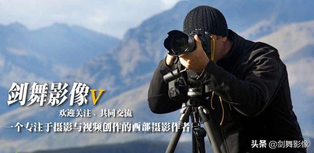 羊驼为什么吐口水:羊驼为什么吐口水图片 大多数动物都不会攻击人，是真的么？为什么？