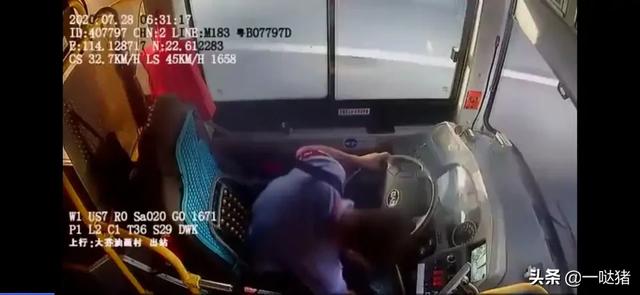 黄有龙是谁的司机:深圳公交司机行车中捡水杯，撞死违规行走路人，谁的责任更大