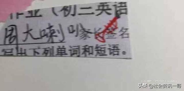 另类微信名:你们小时候身边都有哪些奇葩的外号(给媳妇的外号奇葩)