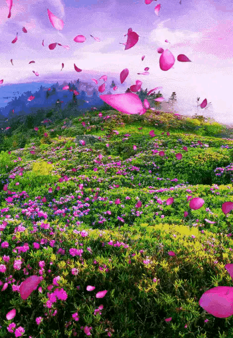 470_680竖版 竖屏gif 动态图 动图