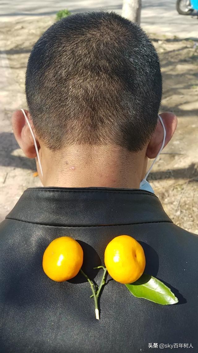 如何理解“我们曾在高朋满座中,将隐晦爱意说到最尽兴”这句话？