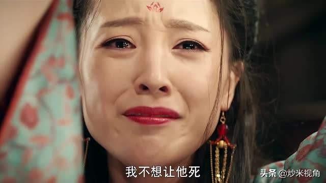 人狗情缘百科:#萌星人成长记#狗狗多久发一次情？