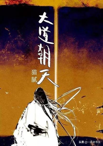 如何评价猫腻的《大道朝天》？