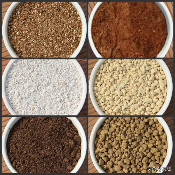 头条问答 赤玉土适合哪些盆景 19个回答