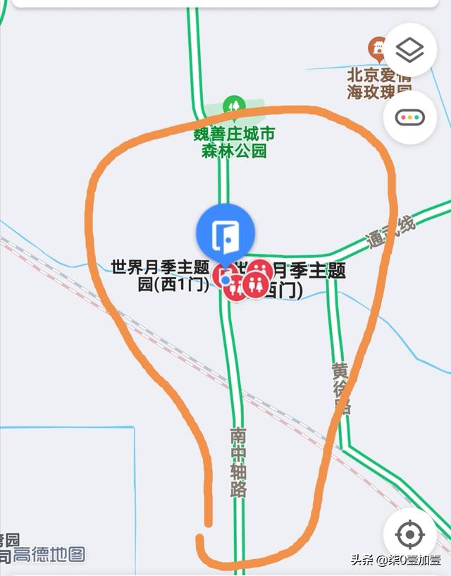 北京哪里买月季最好？