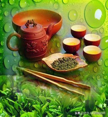 “茶”的雅名俗称有哪些？